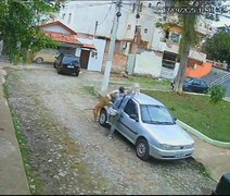 Vídeo: pitbull é morto a facadas após atacar cachorro de pequeno porte no Rio Janeiro