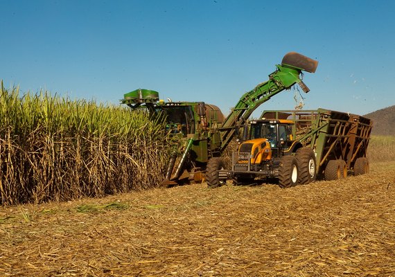 Safra conta com 5,1 mi de toneladas de cana beneficiadas