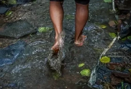 Maceió reforça alerta sobre leptospirose durante período chuvoso