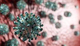 Alagoas registra 30 novos casos e mais duas mortes  por Covid-19 nesta quinta (25)