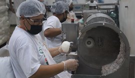 Coopaq amplia produção e gera desenvolvimento no Litoral Norte de Alagoas