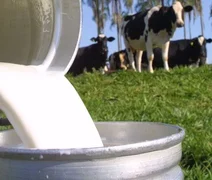 Nordeste apresenta 1,81% de crescimento na produção de leite entre 2018 e 2021