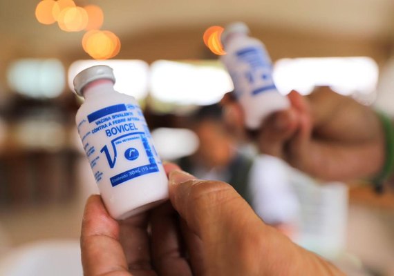 Adeal: Criador que não conseguiu adquirir vacina da aftosa em abril poderá solicitar isenção