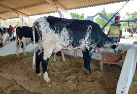 Senar e Faeal participam de Dia de Campo na Expo Bacia Leiteira