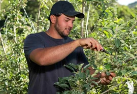 Cooperativa financeira apoia associados com bolsas para formação de técnicos agrícolas