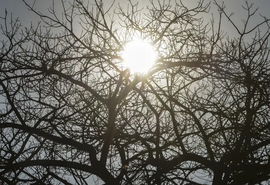 Ar seco predomina no interior de Alagoas até domingo, alerta Semarh