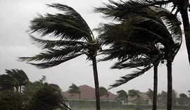 Municípios do interior de Alagoas entram em alerta para ventos fortes