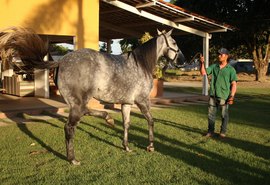 3º Leilão Vale Rico apresenta tropa