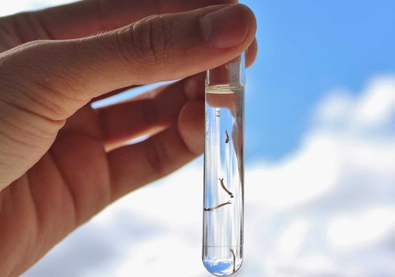 Segundo estudo, 73% dos laboratórios erram diagnóstico do zika no Brasil