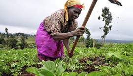 Mais de 30 milhões de hectares em propriedades rurais no Brasil são administradas por mulheres