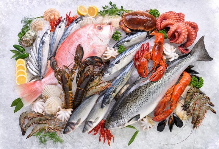 MPA e Mapa definem Nota Fiscal do Pescado como documento oficial de origem do pescado