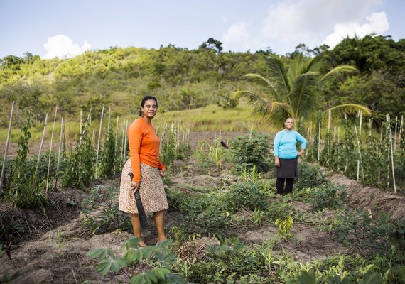 Cresce em 80% a participação de mulheres na agricultura