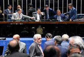 Anulação do decreto das armas espera decisão da Câmara