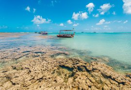 Renan Calheiros destaca a beleza da Praia do Patacho e reforça a importância do turismo em AL