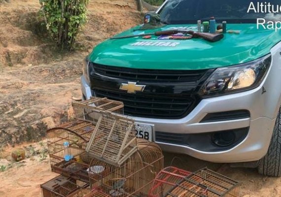 Em dois dias de operação, guarnições da PM apreendem armas, animais silvestres e um veículo