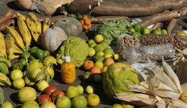 Moradores do campo também são afetados pela fome no Brasil