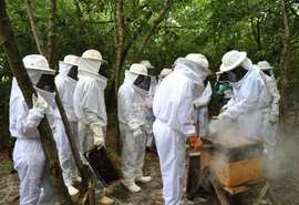 3º Encontro de Amigos Criadores de Abelha sem Ferrão