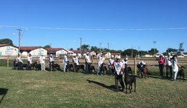 Expoalagoas Genética recebe palestra sobre seleção genômica nesta quinta (16)