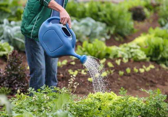 Agricultores familiares contarão com verba na pandemia