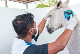 Centro de Zoonoses atua na prevenção de doenças transmitidas por animais