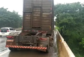 Caminhão com 65 cabeças de gado cai em rio e desaparece