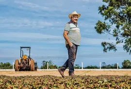 Cooperativas se destacam no Plano Safra e crédito rural registra crescimento anual