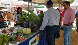 Feira da Agricultura Familiar atrai consumidores para a Expo Bacia Leiteira