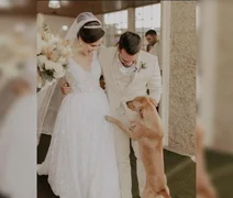 Vira-lata caramelo invade fotos de casamento e casal resolve adotá-lo