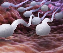 Contraceptivo masculino que impede espermatozoides de circular é desenvolvido; saiba mais