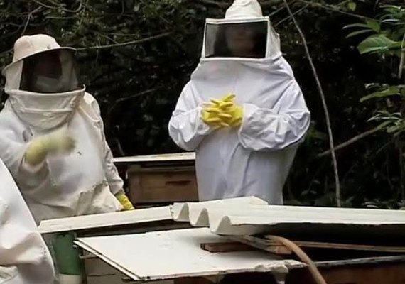 Palateia: Usina Caeté faz doação para projeto de apicultura