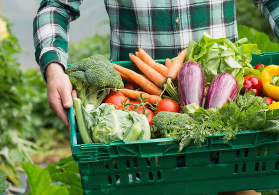MAPA traça medidas para garantir a segurança alimentar da população