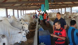 Expoagro/AL promete aquecer pecuária alagoana em sua 69ª edição