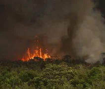 Incêndios podem ter afetado mais de 11 milhões de pessoas no Brasil