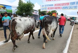 Expo Bacia Leiteira renova parceria com IFAL para 2024