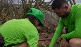 Projeto amplia conceito de sustentabilidade junto aos moradores da Ilha do Ferro