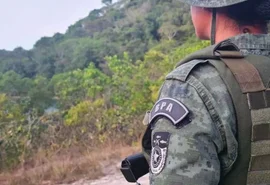 Polícia Militar apreende 60 aves silvestres em feiras de Maceió e Rio Largo