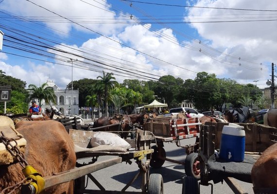 Carroceiros protestam e fecham trânsito no Centro de Maceió