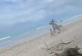 VÍDEO: Criança é atropelada por cavalo em praia de Maceió