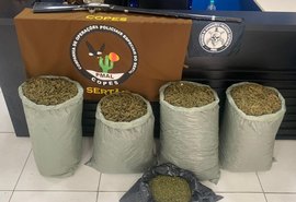 Mais de 62 quilos de drogas e 37 armas de fogo são retidos em Alagoas