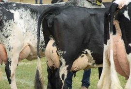 36ª Expo Bacia Leiteira promete aquecer setor no segundo semestre