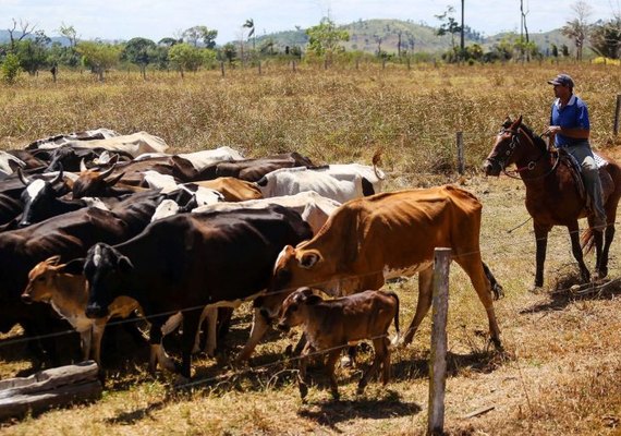 PL destina R$ 524 milhões ao Proagro, mas risco de falta de recursos continua
