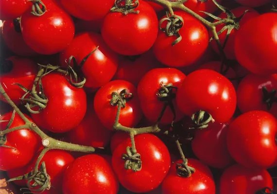 Estudo aponta que substância do tomate protege o cérebro contra Parkinson