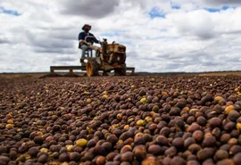 Cooperativa fica entre as 100 maiores do Agro 2023 da Forbes