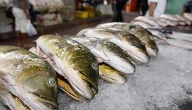 Semana Santa: Confira os preços dos pescados após pesquisa do Procon