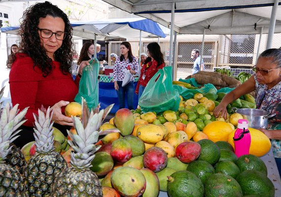 Última feira agroecológica de 2024 acontece nesta quarta (18), no Fórum da Capital