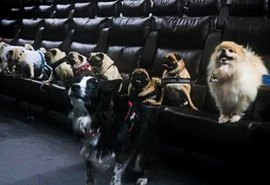 Cinema do Arapiraca Garden Shopping cria sessões petfriendly