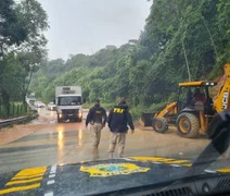 BR-104 em Alagoas tem pontos parcialmente interditados após queda de árvores