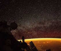 Moscas criadas no espaço chegam à 25ª geração na ISS