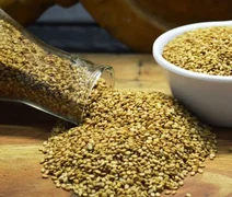 Brasil abre dois novos mercados para produtos do agronegócio