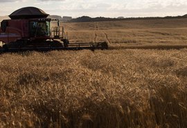 Câmara aprova fundo de investimento no setor agropecuário